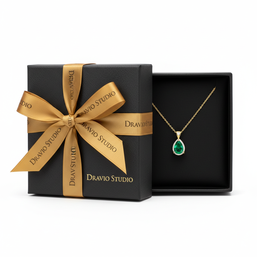 Surprise Gift 🎁 — Dravio Studio